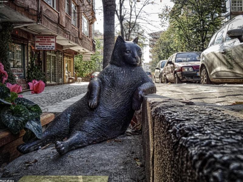 Saumon en papillote parfumé